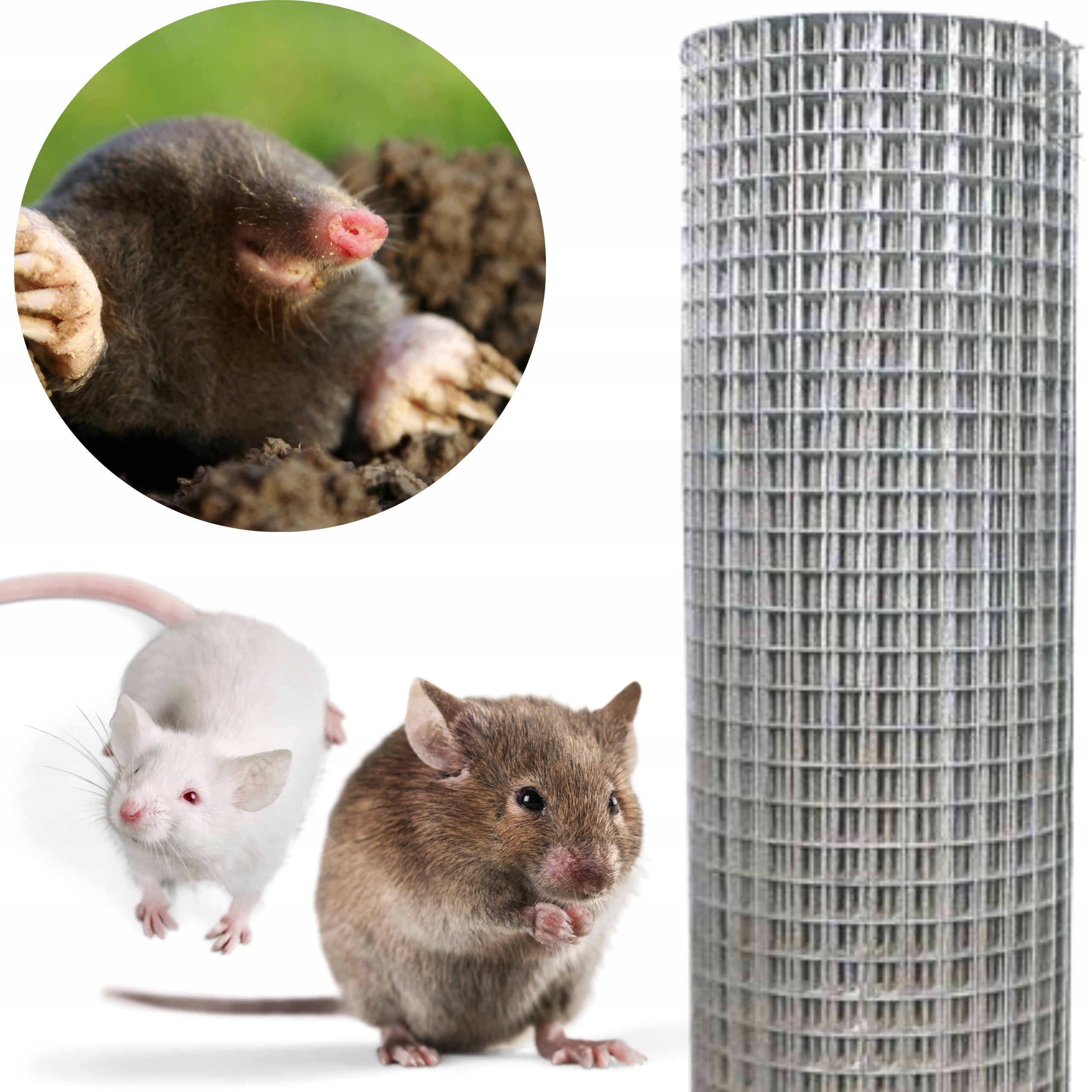 SIATKA NA GRYZONIE KRETY ZGRZEWANA 10 MB OCYNKOWANA DROBNA 12x12 MM ROLKA